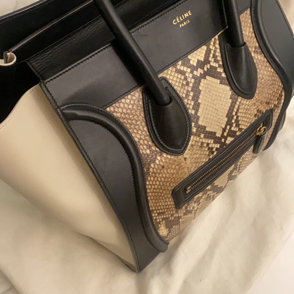 Celine Python 🐍 Handbag - Picture 10 of 13